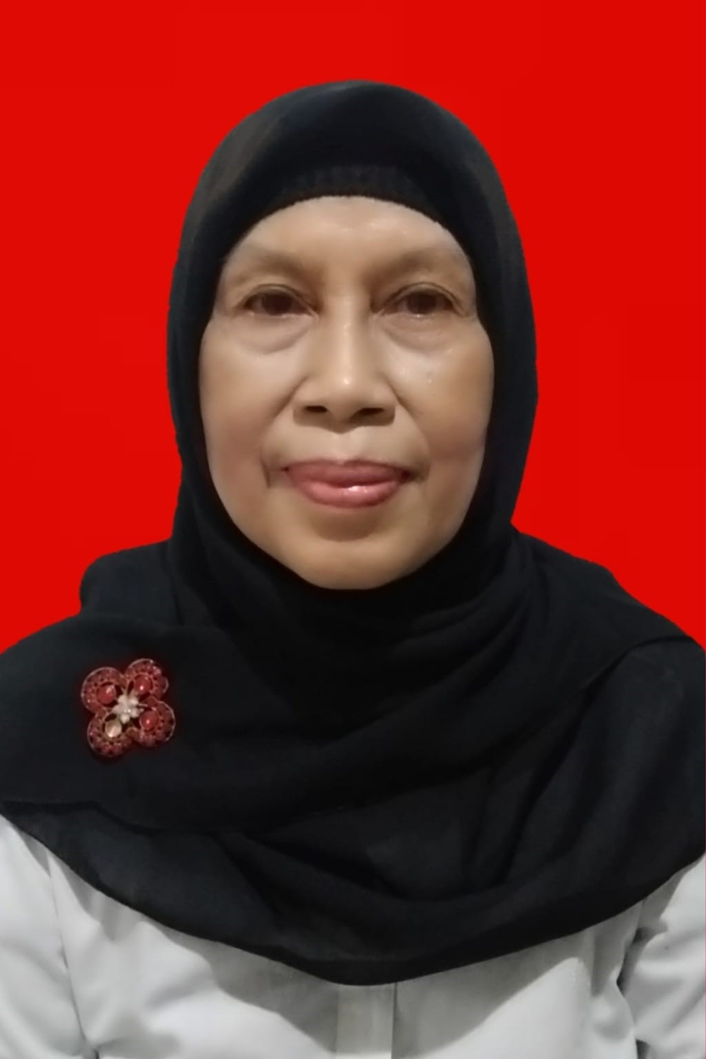 Prof. Dr. Ir. Siti Rochaeni M.Si.