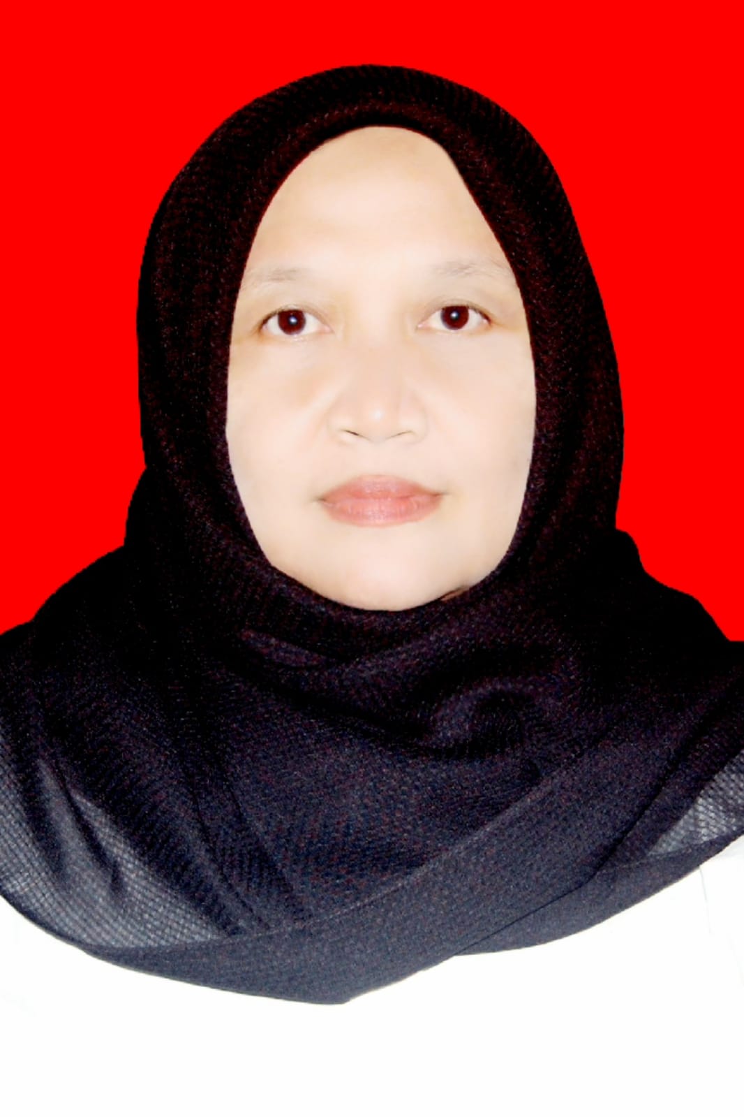 N. Lalah Alawiyah M.A.