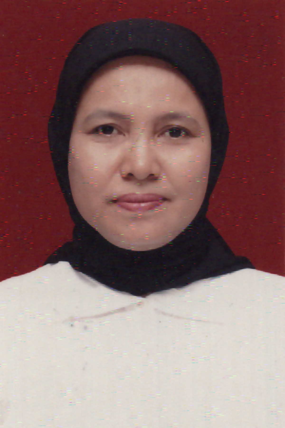 Dhian Sukmaningsih S.H.