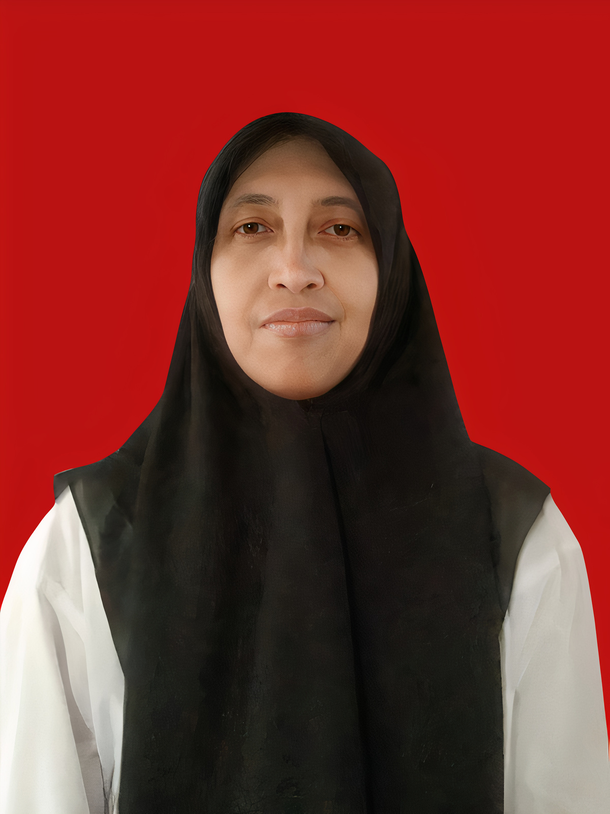 Dr. Qurrotul Aini M.T.