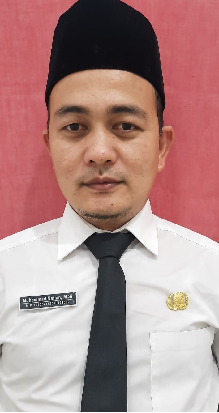 Muhammad Nafian M.Si