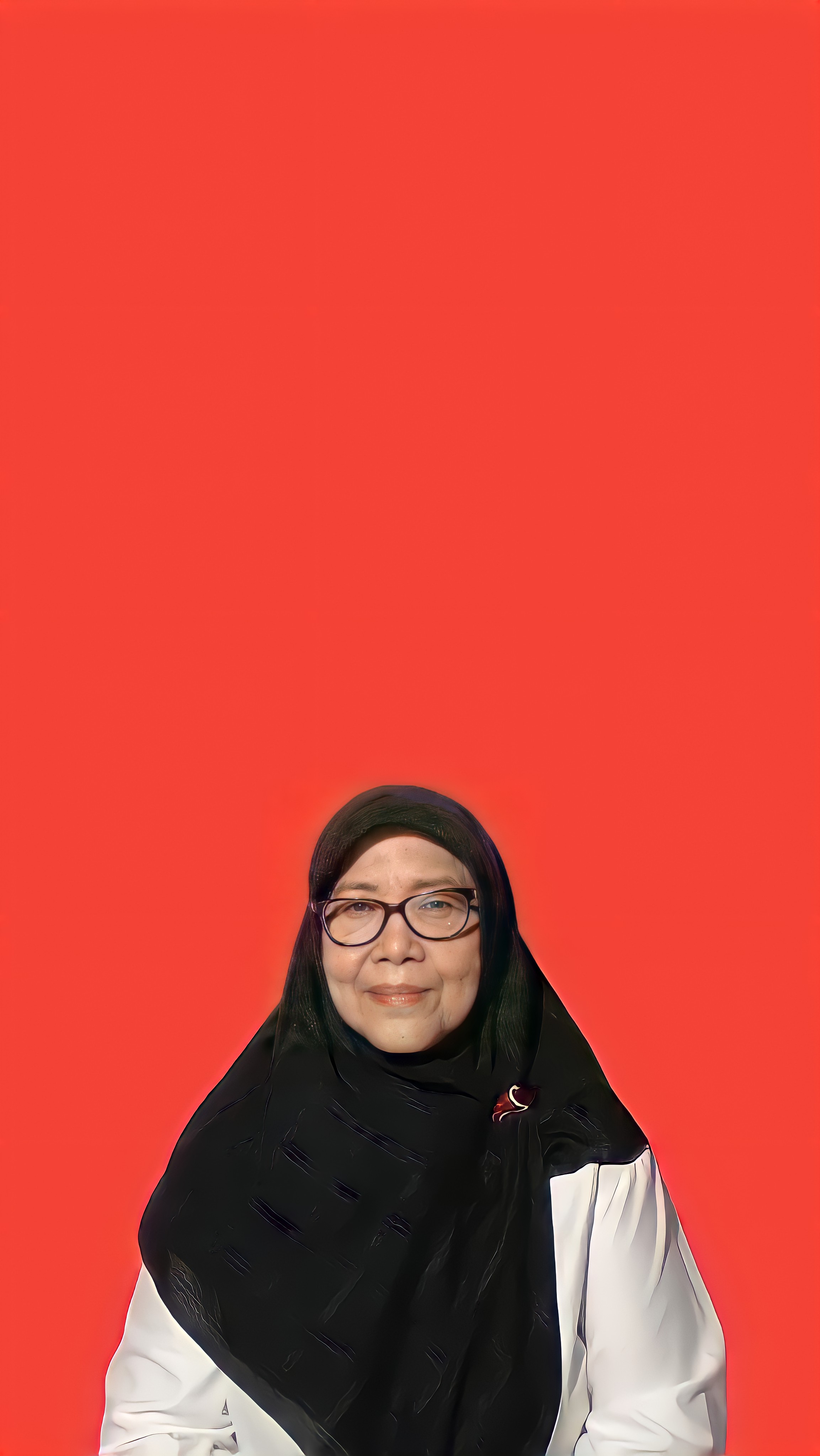 Faizah Ali Syibromalisi